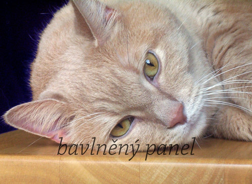 Bavlněný panel KOC 69
