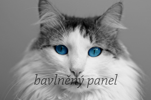 Bavlněný panel KOC 71