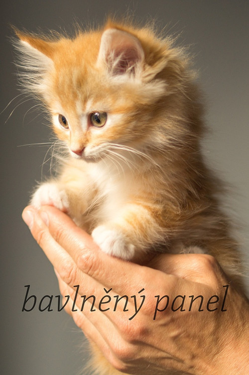 Bavlněný panel KOC 78