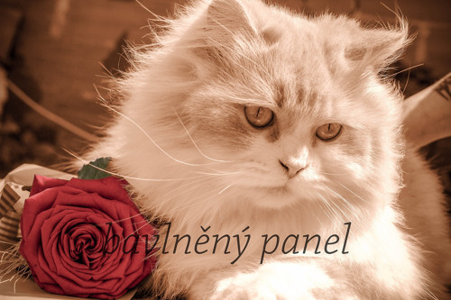 Bavlněný panel KOC 79