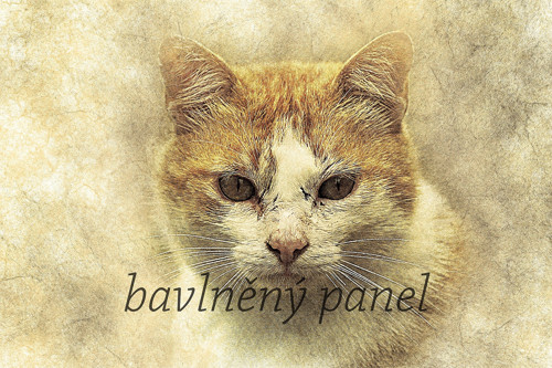 Bavlněný panel KOC 92