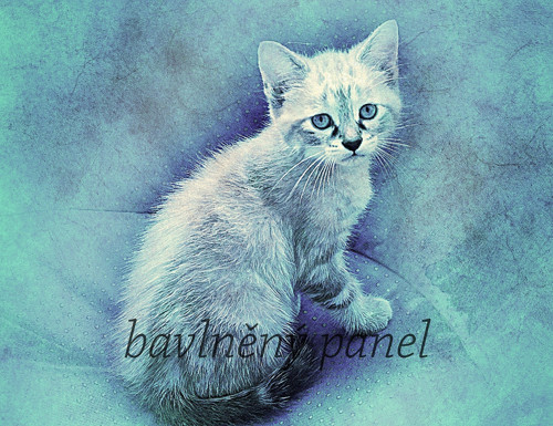 Bavlněný panel KOC 98 — foto 1