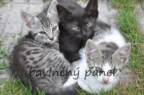 Bavlněný panel KOC 101 — foto 1