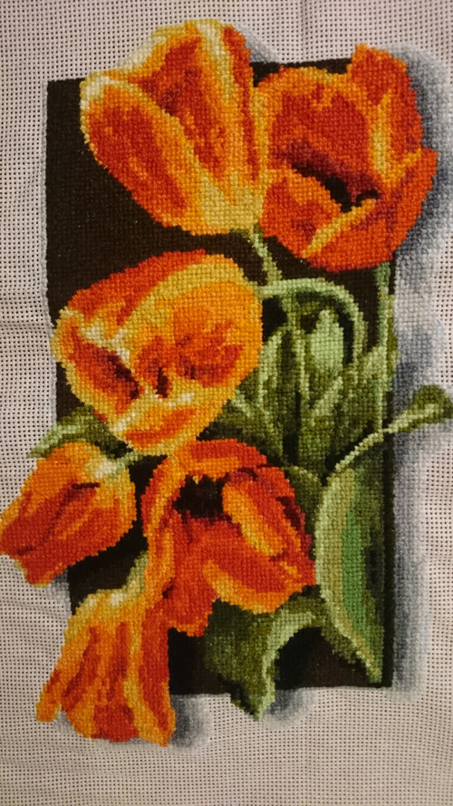 Tulipány 3D — foto 1