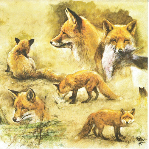 Ubrousek - lišky (20 ks)