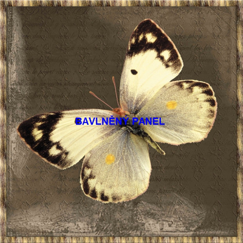 Bavlněný panel 25 x 25cm