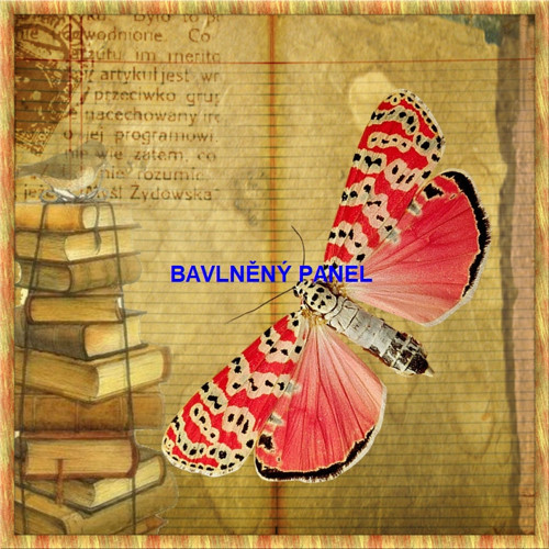 Bavlněný panel 25 x 25cm