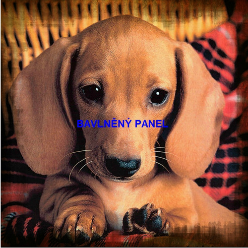 Bavlněný panel 25 x 25cm