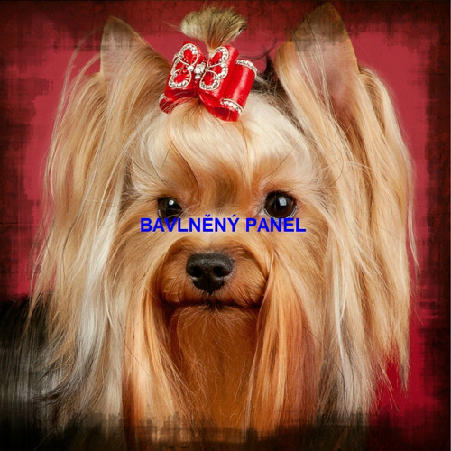 Bavlněný panel 25 x 25cm