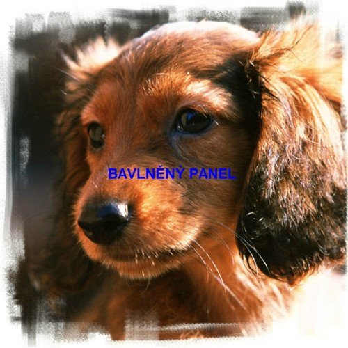 Bavlněný panel 25 x 25cm