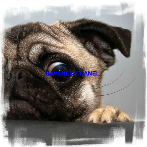 Bavlněný panel 25 x 25cm