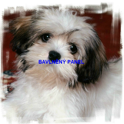 Bavlněný panel 25 x 25cm