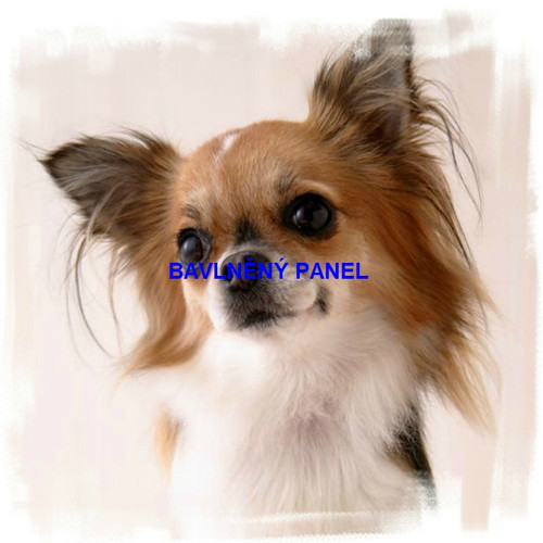 Bavlněný panel 25 x 25cm