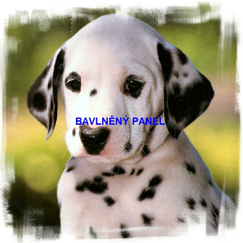 Bavlněný panel 25 x 25cm — foto 1