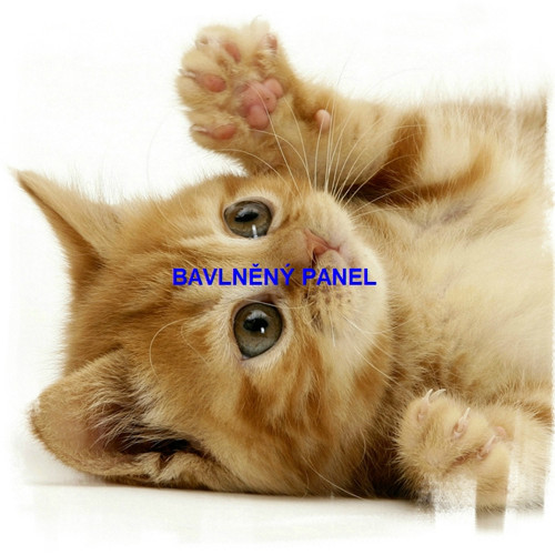 Bavlněný panel 25 x 25cm