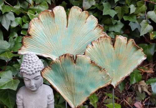 Ginko listy — foto 1