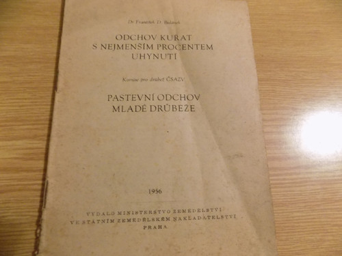 Odchov kuřat s nejmenším procentem uhynutí
