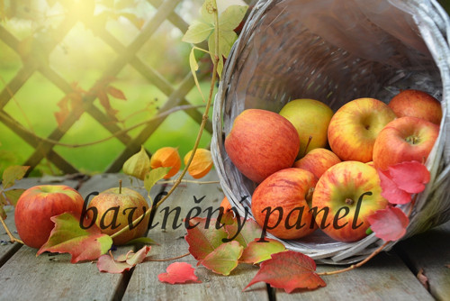 Bavlněný panel ZAT 3 — foto 1