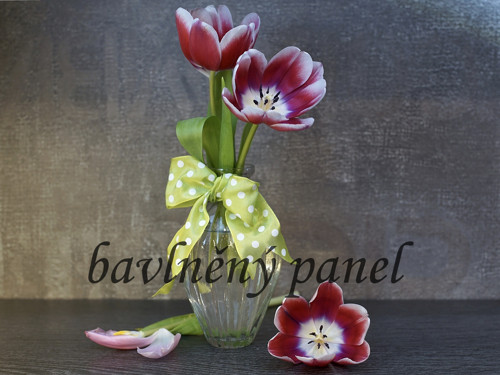 Bavlněný panel ZAT 26 — foto 1