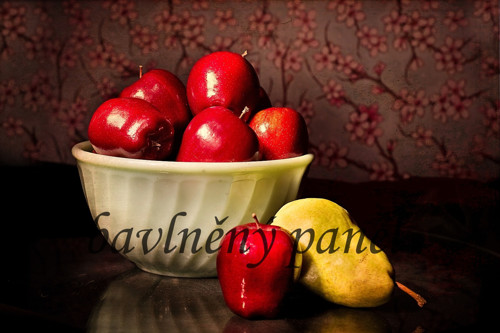 Bavlněný panel ZAT 55 — foto 1