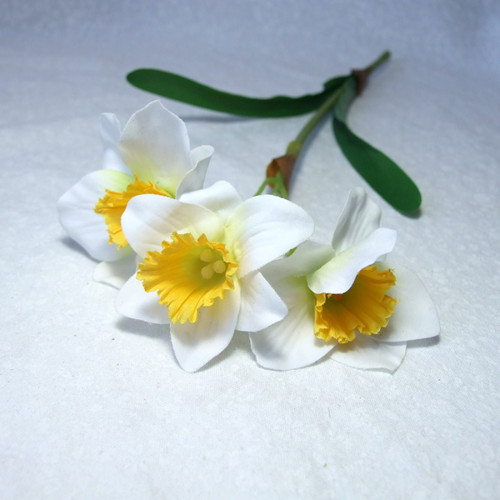 Narcis bílo-žlutý 35 cm