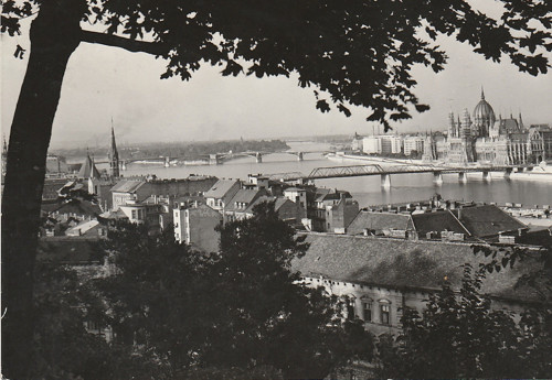 Sanr3/budapest.dunai latkép