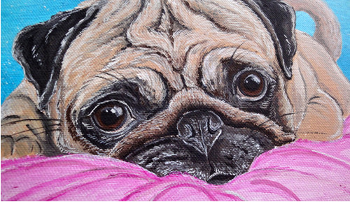 Čumíš jako Pug — foto 1