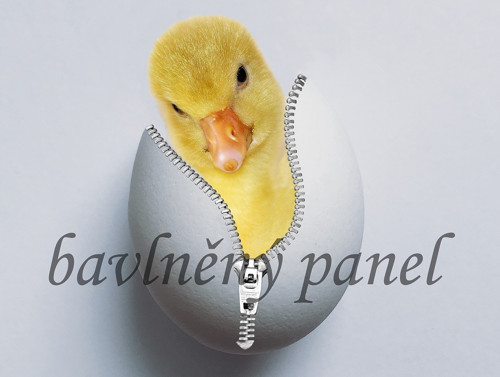 Bavlněný panel VE 234 — foto 1