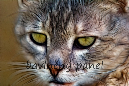 Bavlněný panel KOC 111 — foto 1