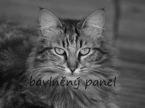 Bavlněný panel KOC 126