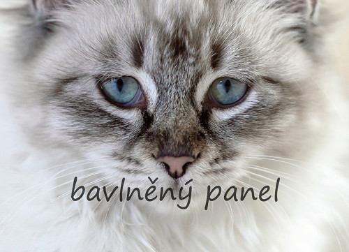 Bavlněný panel KOC 128