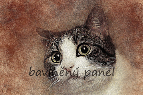 Bavlněný panel KOC 134