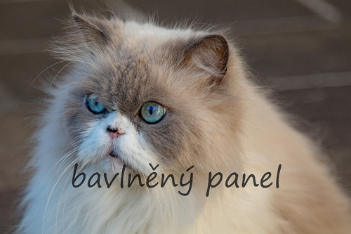 Bavlněný panel KOC 142 — foto 1