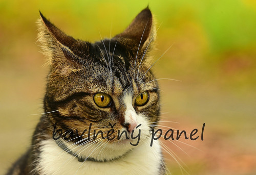 Bavlněný panel KOC 155 — foto 1