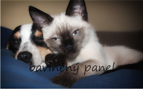 Bavlněný panel KOC 164 — foto 1