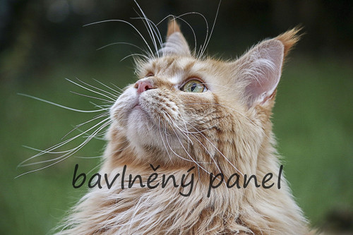 Bavlněný panel KOC 173 — foto 1