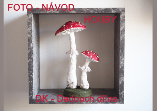 Foto - návod houby