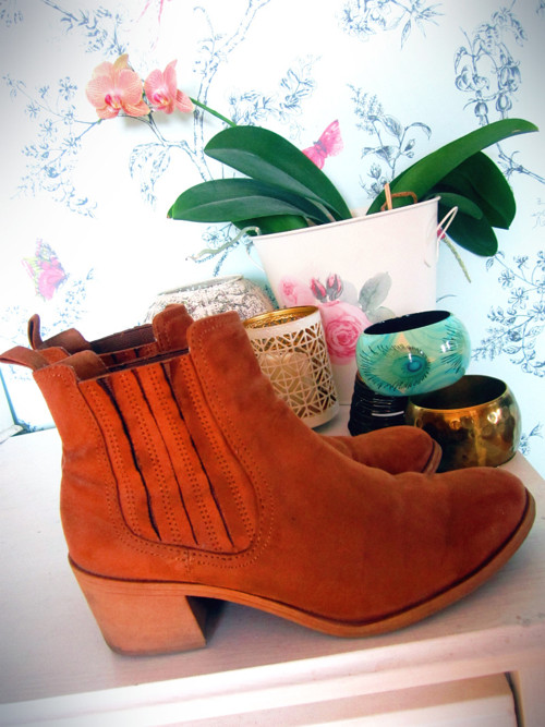 Perka camel — foto 1