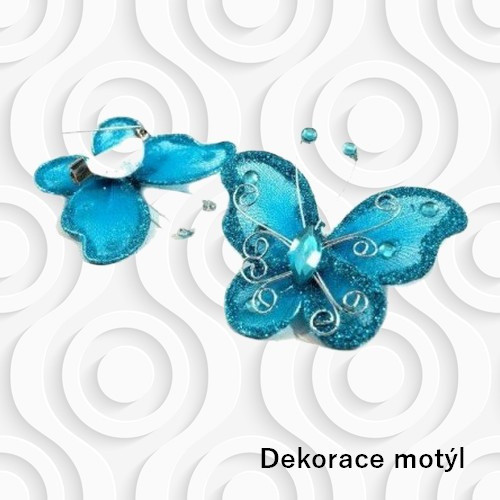 Motýl - dekorace — foto 1