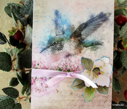 Blue bird — foto 1