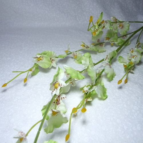 Drobnokvětá orchidej zelená 95 cm