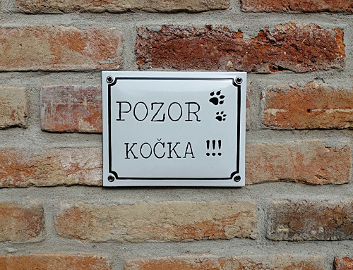 POZOR KOČKA !!!