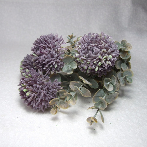 Eucalyptus a Allium - trs — foto 1