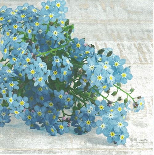 Ubrousek - pomněnky