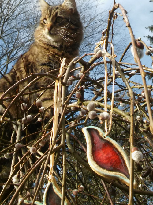 Ptáček — foto 1