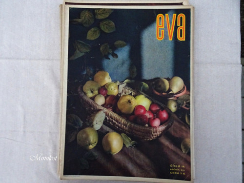 Eva - ročník XII, číslo 19 — foto 1