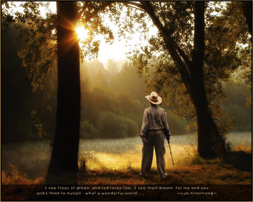 Wonderful world — foto 1