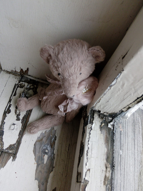 Medvídek Pinky — foto 1