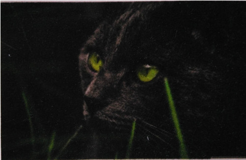 Bavlněná látka - panel 7 x 12 cm — foto 1