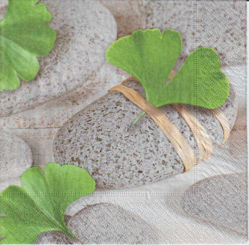 Ubrousek - ginkgo a kameny — foto 1
